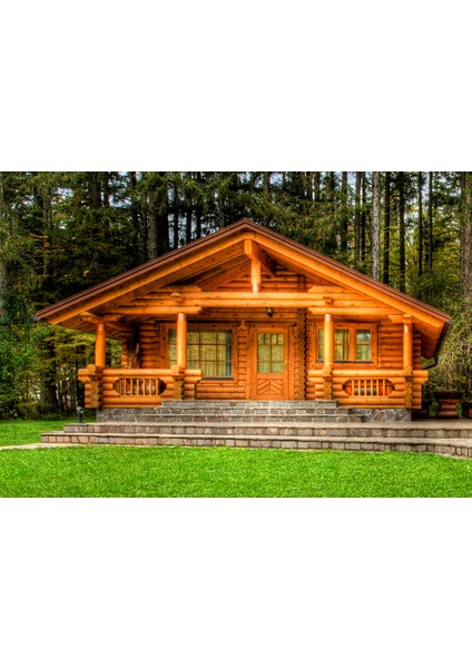 Paint Dış Cephe Ahşap Verniği 2.45 Lt Cream modelleri