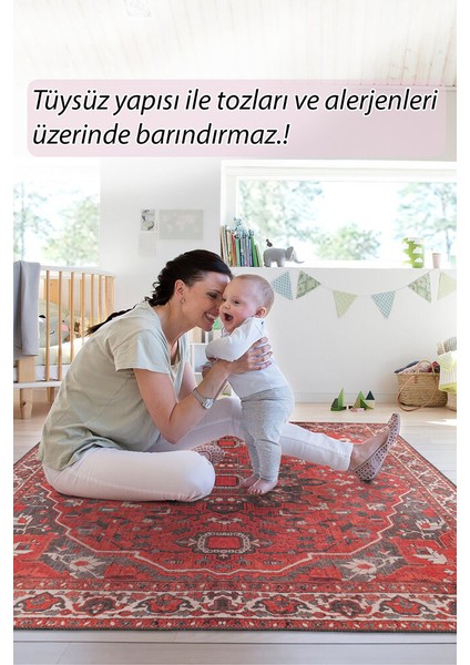 Ong Lang Klasik Kırmızı Polyester Dikdörtgen Modern Desenli Pamuk Makinada Yıkanabilir Hav Toz Vermez Leke Tutmayan Kaymaz Taban Dijital Makine Baskı Salon Yolluk Mutfak Halı modelleri