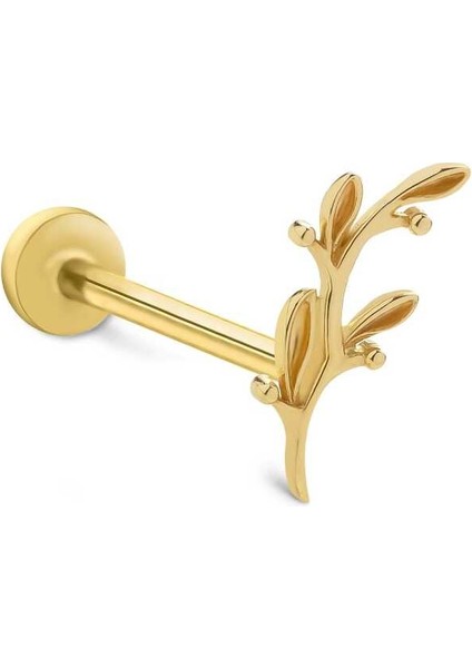 Zeytin Dalı Tragus