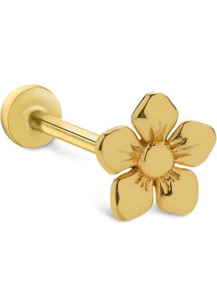 Mini Papatya Tragus Piercing