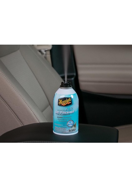 Air Re Fresher Koku Giderici(tatlı yaz esintisi) fırsatları