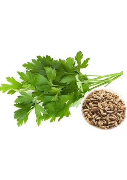 Maydanoz Tohumu 25 gr modelleri