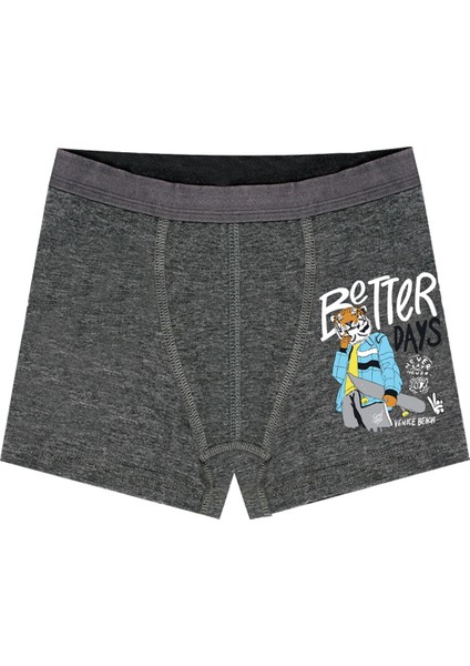 Erkek Çocuk Boxer 3'lü Baskılı (%96 Pamuk - %4 Elastan) fiyatları