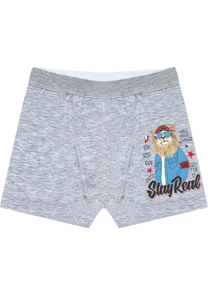 Erkek Çocuk Boxer 3'lü Baskılı (%96 Pamuk - %4 Elastan) fırsatları