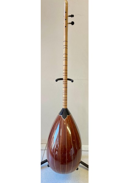 Elektro Bağlama (Leslili) Model-6 fiyatları