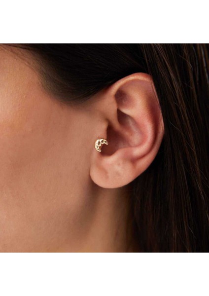 Kruvasan Model Tragus Piercing