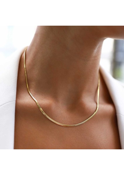 2.50 mm Balık Sırtı Zincir