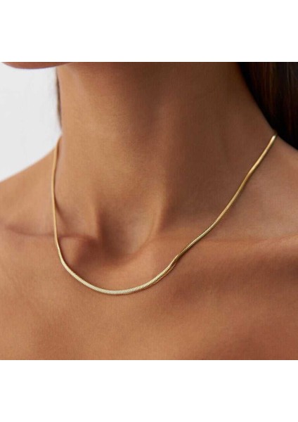 2.50 mm Balık Sırtı Zincir fiyatları