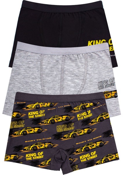 Erkek Çocuk Boxer 3'lü Baskılı (%96 Pamuk - %4 Elastan)