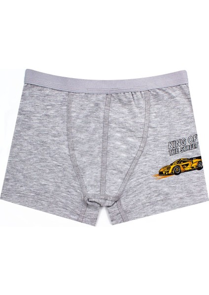 Erkek Çocuk Boxer 3'lü Baskılı (%96 Pamuk - %4 Elastan) modelleri