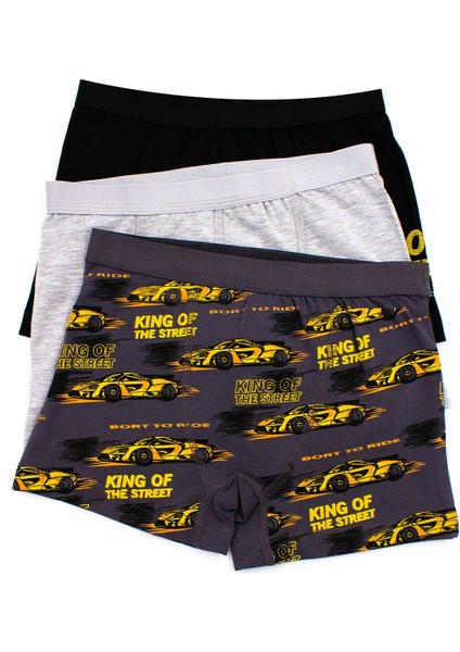 Erkek Çocuk Boxer 3'lü Baskılı (%96 Pamuk - %4 Elastan)