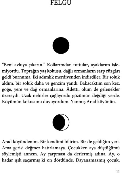 Hayvanlar Yavrularını Nasıl Büyütür? (Ciltli) - Gülşen Funda fırsatları