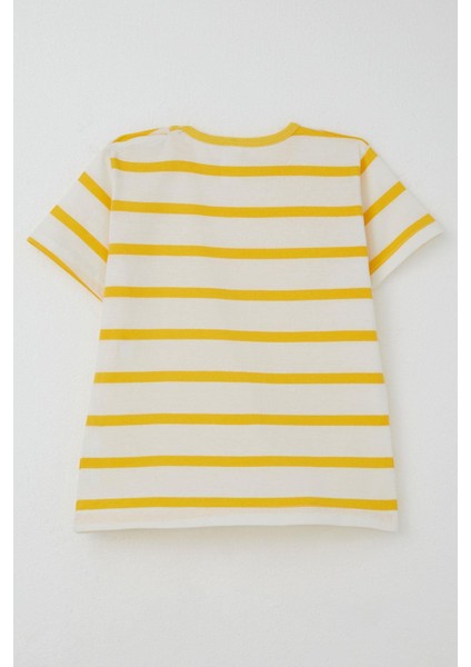 Erkek Çocuk Tişört Patlı Çizgili 1-4 Yaş, Ekru indirimleri