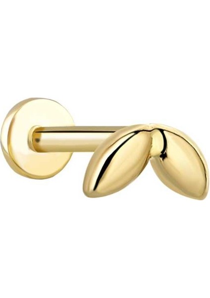 Zeytin Tragus Piercing