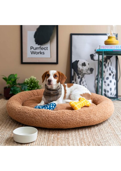 CircleBed Brown Sugar Ortopedik Kedi Ve Köpek Yatağı
