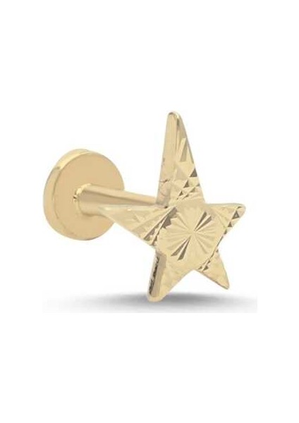 Alen Yıldız Tragus Piercing