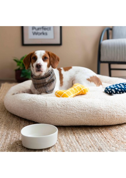 CircleBed Vanilla Cream Ortopedik Kedi Ve Köpek Yatağı
