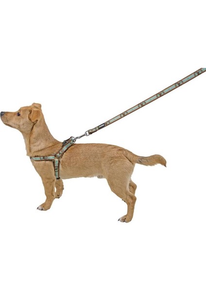 Köpek Göğüs Tasma Wild Life 22 x 45 cm, S fiyatları