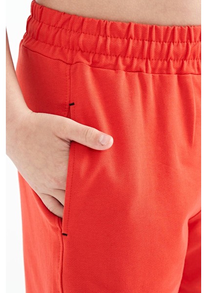 Fiesta Renkli Baskılı Bağcıklı Nakış Detaylı Standart Kalıp Erkek Çocuk Şort - 11129 fırsatları