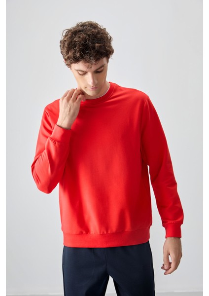 Fiesta Pamuk Yumuşak Dokulu Standart Fit Basic Erkek Sweatshirt - 88363 indirimleri