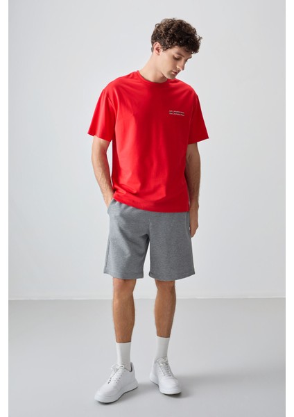 Fiesta Pamuklu Kalın Yumuşak Dokulu Oversize Fit Baskılı Erkek T-Shirt - 88375 fiyatları