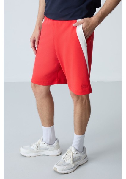 Fiesta Pamuklu Kalın Yumuşak Dokulu Standart Fit Basic Erkek Şort - 81280 fiyatları