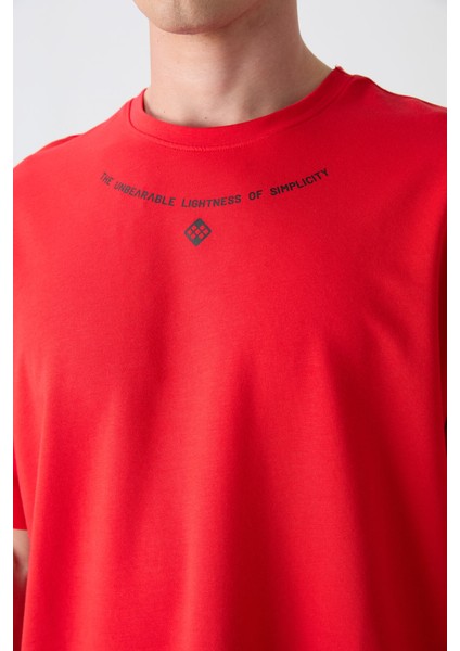 Fiesta Pamuklu Kalın Yumuşak Dokulu Oversize Fit Baskılı Erkek T-Shirt - 88343 modelleri