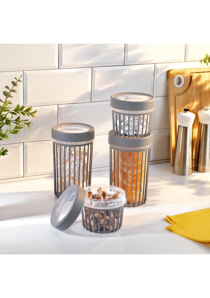 Lane 4 Lü Saklama Kabı-Gri