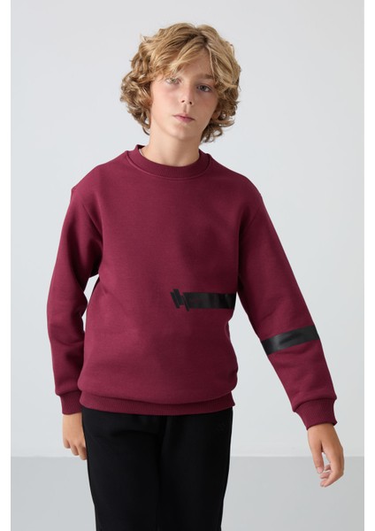 Erguvan Pamuklu Kalın İçi Tüylü Yumuşak Dokulu Standart Fit Baskılı Erkek Çocuk Sweatshirt - 11238