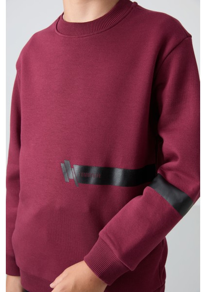 Erguvan Pamuklu Kalın İçi Tüylü Yumuşak Dokulu Standart Fit Baskılı Erkek Çocuk Sweatshirt - 11238 modelleri