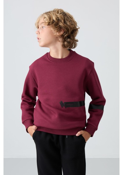 Erguvan Pamuklu Kalın İçi Tüylü Yumuşak Dokulu Standart Fit Baskılı Erkek Çocuk Sweatshirt - 11238 fırsatları