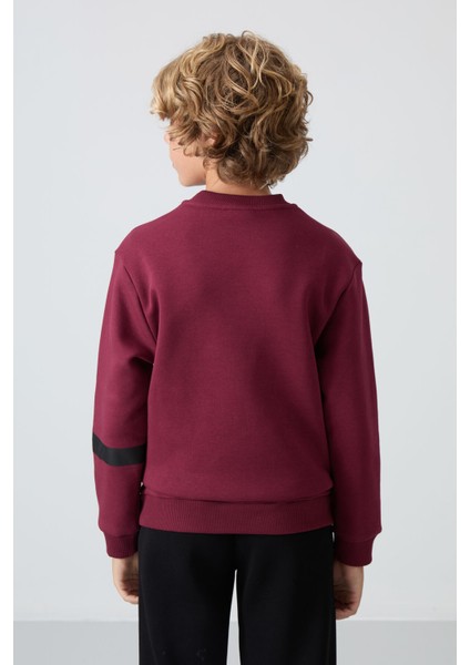 Erguvan Pamuklu Kalın İçi Tüylü Yumuşak Dokulu Standart Fit Baskılı Erkek Çocuk Sweatshirt - 11238 indirimleri