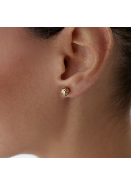 Large Yan Çizgili Top Küpe fiyatları