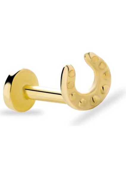 Nal Tragus Piercing