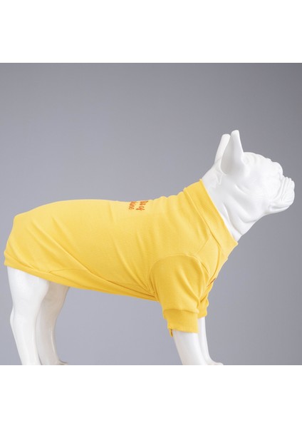 Flex Little Bit of Sunshine Küçük ve Orta Irk Köpek Tshirt Beden 1