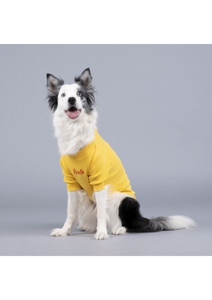Flex Little Bit of Sunshine Küçük ve Orta Irk Köpek Tshirt Beden 1 fiyatları