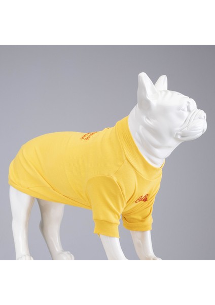 Flex Little Bit of Sunshine Küçük ve Orta Irk Köpek Tshirt Beden 1 modelleri