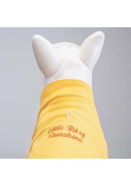 Flex Little Bit of Sunshine Küçük ve Orta Irk Köpek Tshirt Beden 1 fırsatları
