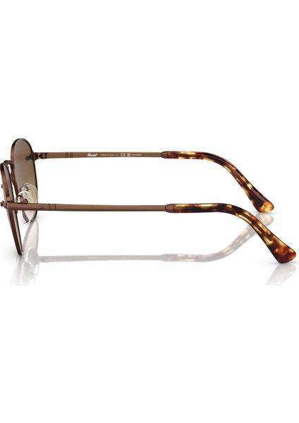 PO2491S 1123M2 49 Polarize Unisex Güneş Gözlüğü fiyatları