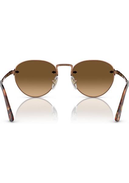 PO2491S 1123M2 49 Polarize Unisex Güneş Gözlüğü modelleri