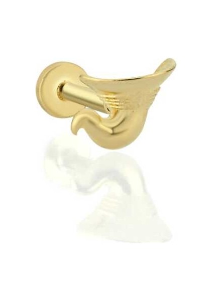 Cadı Şapkası Model Tragus Piercing