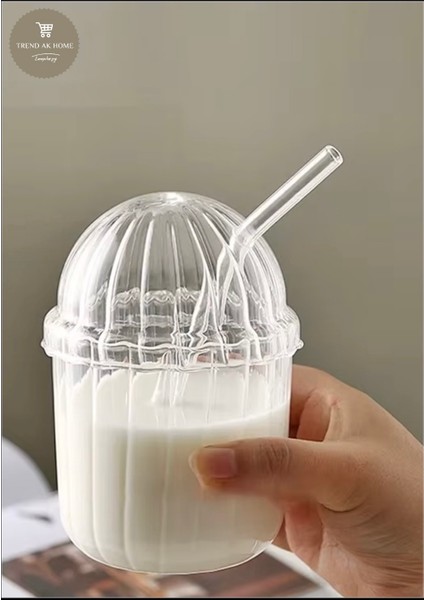 Pinterest Oval Kapaklı Mika Bardak Cam Pipet Hediyeli