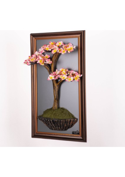 Bonsai TABLEAU-2A modelleri