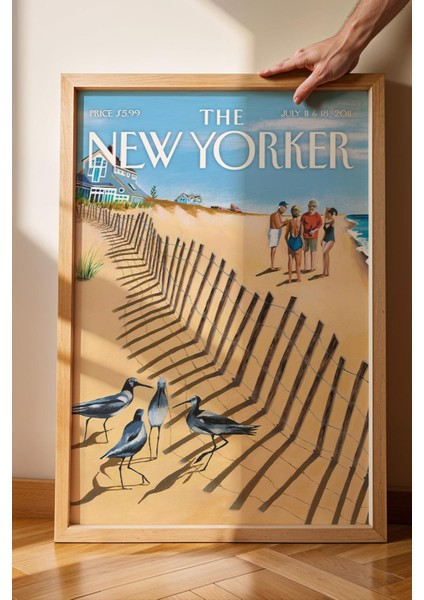 The New Yorker Çerçeveli Tablo July 11 2011 - Plaj Kuşları Tablosu fiyatları
