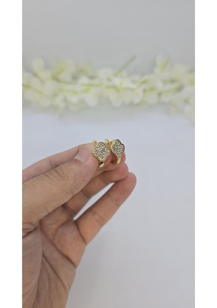 14 Ayar Altın Kaplama Zirkon Taşlı Kadın Küpe – Zarif ve Işıltılı (M31) fiyatları