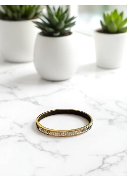 Paslanmaz Çelik Taşlı Su Yolu Gold Kelepçe Cns 099 Kelepçe-2