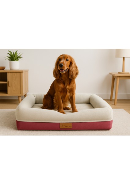 Coch Box Üst Kalite Köpek Yatağı Süngerli Sıvı Geçirmez Alezli. %100 Elyaflı. 2 Fermuarlı