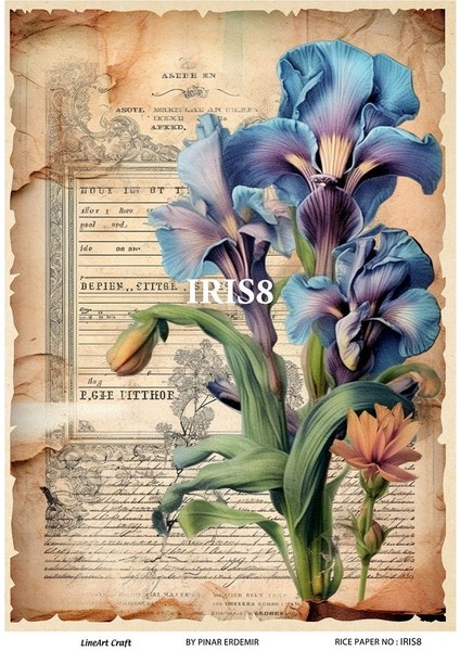 Irıs Serisi Irıs8 Iris, Zambak, Çiçek Desenli 30*42 cm Pirinç Dekopaj