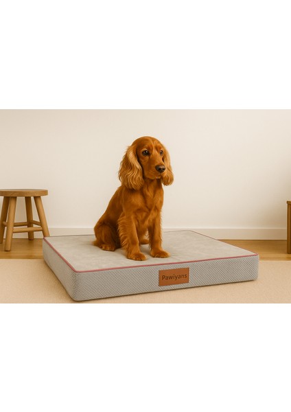 Matbox, Üst Kalite 6,5-10CM Süngerli Pet Yatağı ,sıvı Geçirmez Alezli, Yıkanabilir Kılıflı Fermuarlı