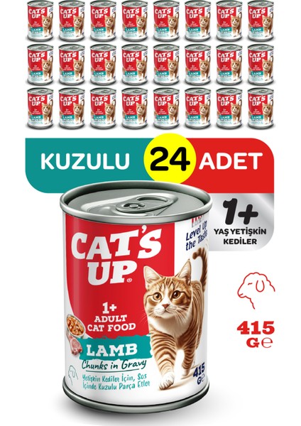 Cats Up Yaş Yetişkin Kedi Maması Kuzu Etli 415GR 24LÜ